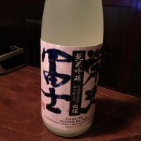 
            栄光冨士_
            芳樹増川さん