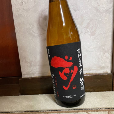 前のレビュー by_kagenodaigishi