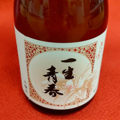 一生青春のレビュー by_masatosake