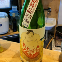 
            白真弓_
            masatosakeさん
