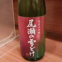 尾瀬の雪どけ