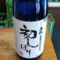 老松