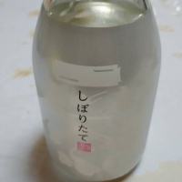 
            菊正宗_
            masatosakeさん
