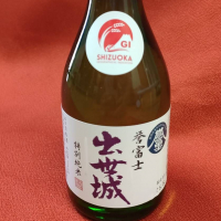 出世城