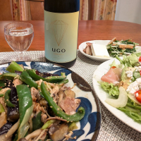 UGOのレビュー by_小野雄町