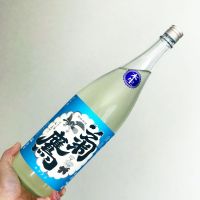 菊鷹
