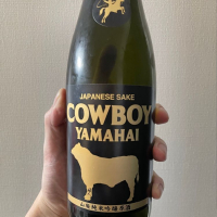 
            COWBOY YAMAHAI_
            つまみはカマボコさん