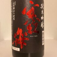 寒紅梅