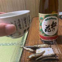 松の花