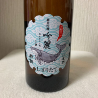 高知県の酒