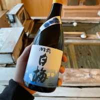 山形県の酒