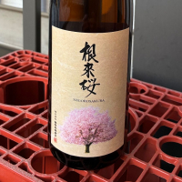 根来桜