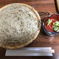 市野屋のレビュー by_ぐらんてぃふぉん