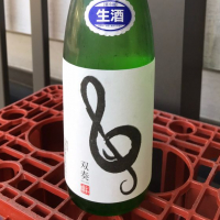 双奏