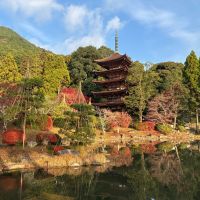 和可娘のレビュー by_ぐらんてぃふぉん