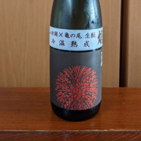 
            天明_
            YOSHITAKAさん