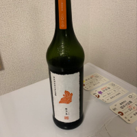 陽乃鳥