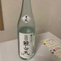 裏・雅山流