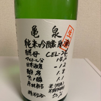 亀泉