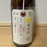 新潟県の酒