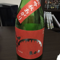 東力士