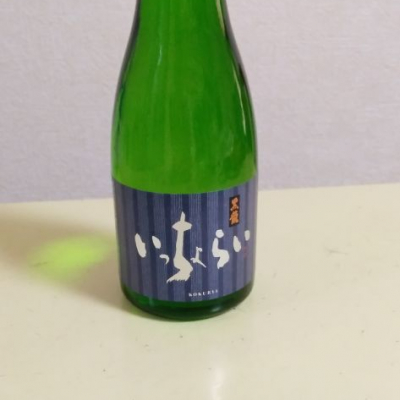 福井県の酒