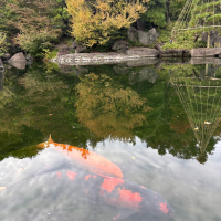 吉田蔵uのレビュー by_仙臺四合