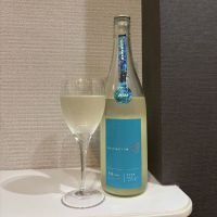 OCEAN99