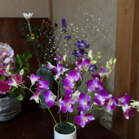 玄宰のレビュー by_仙臺四合