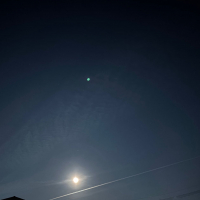 みむろ杉のレビュー by_仙臺四合