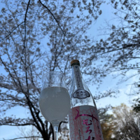 みむろ杉のレビュー by_仙臺四合