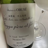 ソガペールエフィス