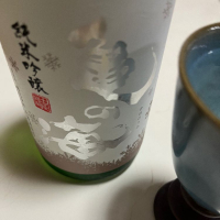 亀の海