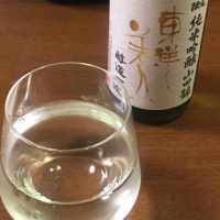 
            東洋美人_
            ゆしんぽさん