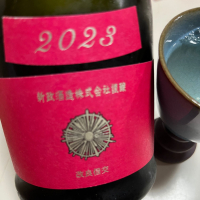 新政