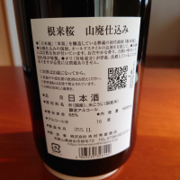 根来桜のレビュー by_アツシ