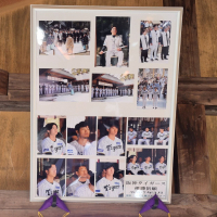 阪神タイガースのレビュー by_バボビ