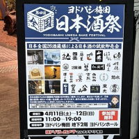 澤乃泉のレビュー by_バボビ