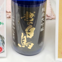 
            越の白鳥_
            バボビさん