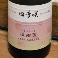 四季咲
