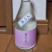瀧鯉