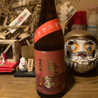 亀の海