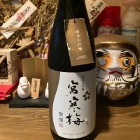 宮寒梅