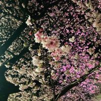 信州亀齢のレビュー by_dotdash