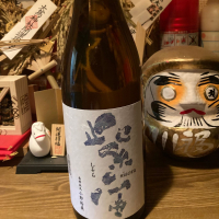紫宙