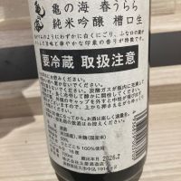 亀の海のレビュー by_dotdash