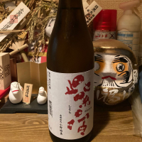 紫宙