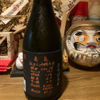 亀泉