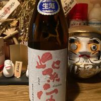 紫宙