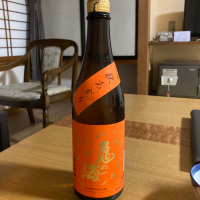亀の海